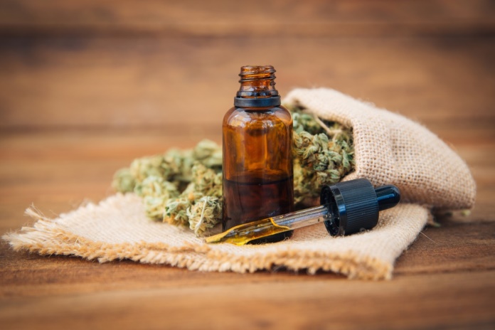 Start-up für medizinisches Cannabis bekommt sechsstelligen Betrag
