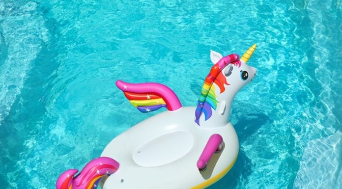 Aufs richtige Einhorn setzen