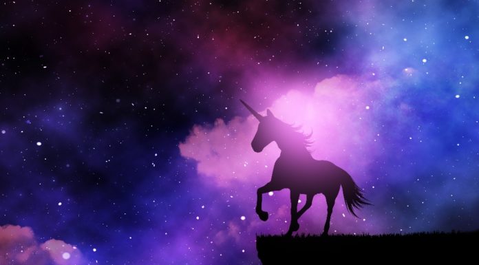 Venture Capital-Investitionen erreichen Höchstwerte im ersten Quartal
