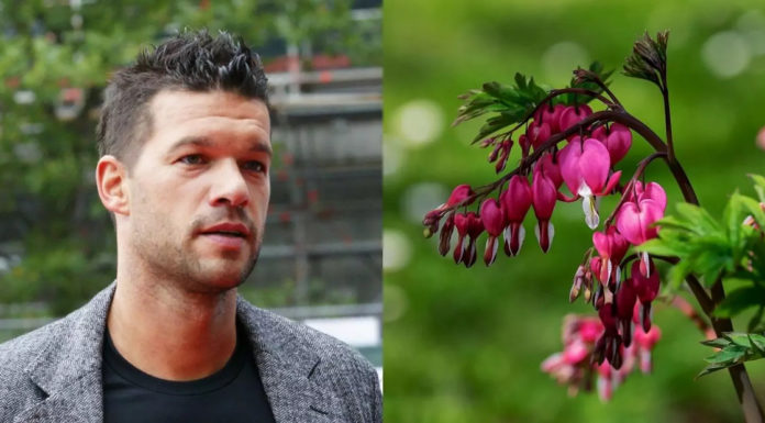(c) commons.wikimedia/Lucky Plant - Der Vizeweltmeister von 2002 kümmert sich nun um Stärkung der Pflanzen.