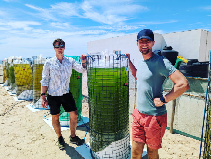 Gründer David Plischke und Stefan Schmid (Viride)