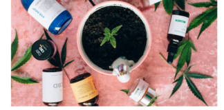 Eine Analyse des deutschen Marktes nach der Legalisierung