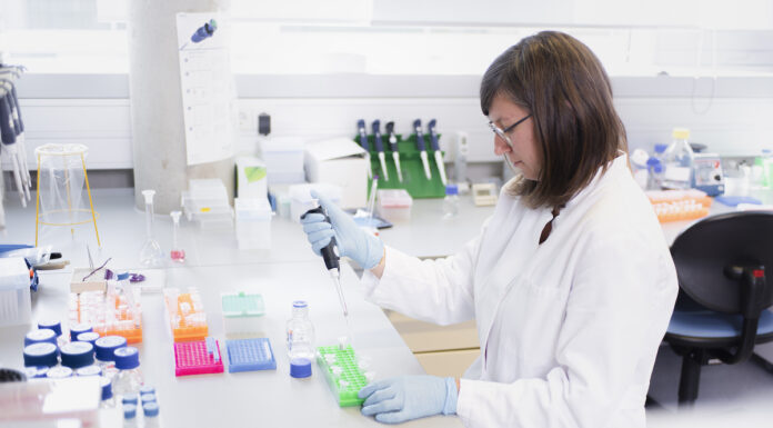 Erfolgreiches erstes Halbjahr für IZB IZB zieht positive Halbjahresbilanz (c) IZB