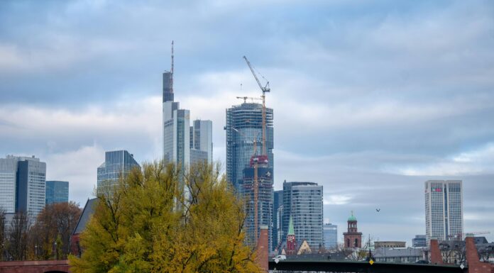 Avega Capital Management eröffnet Büro in Frankfurt a. M. AVEGA expandiert nach Deutschland