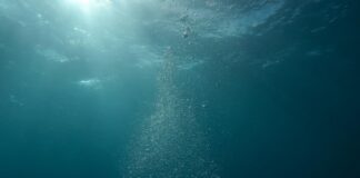 XRP spielt Schlüsselrolle bei Entwicklung der globalen Finanzinfrastruktur