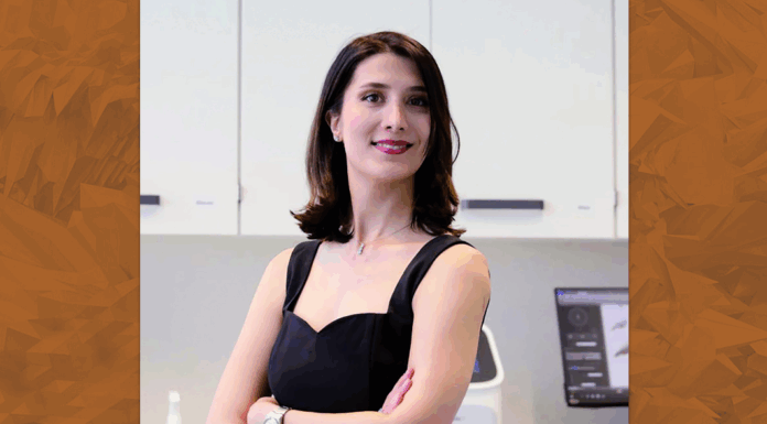 Interview with Ghazaleh Madani, CanChip