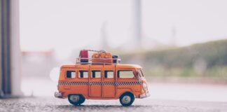 Vivido sichert sich Medien-Investment von SevenAccelerator