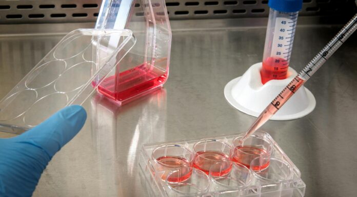 Captain T Cell sichert sich erfolgreich Finanzierungsrunde Pexels