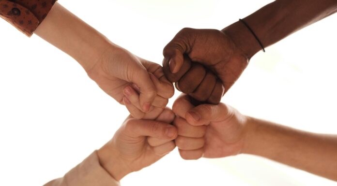 Wo//men Investors Alliance startet Pexels