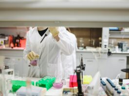 Immunic gibt überzeichnete Privatplatzierung von bis zu 400 Millionen US-Dollar bekannt (c) Polina Tankilevitch - pexels