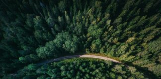 Foto von Geranimo auf Unsplash