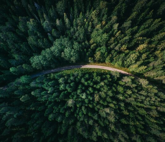 Foto von Geranimo auf Unsplash