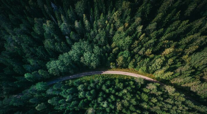 Foto von Geranimo auf Unsplash