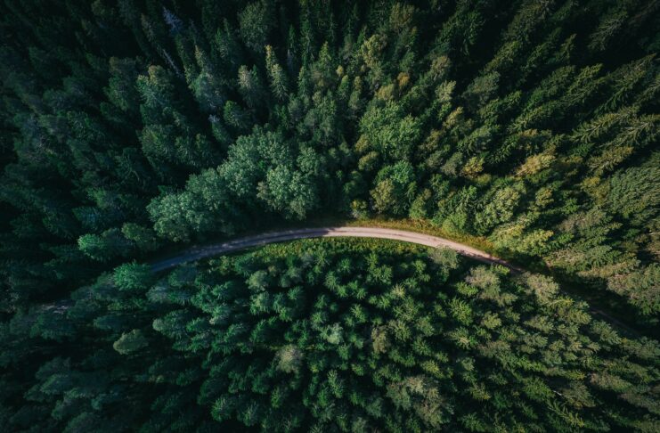 Foto von Geranimo auf Unsplash