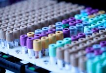 Foto von Testalize.me auf Unsplash