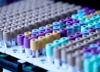 Foto von Testalize.me auf Unsplash