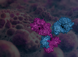 Promatix expands target space for ADCs with bispecific platform (c) Promatix