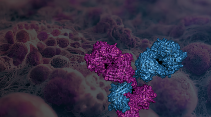 Promatix expands target space for ADCs with bispecific platform Promatix expands target space for ADCs with bispecific platform (c) Promatix