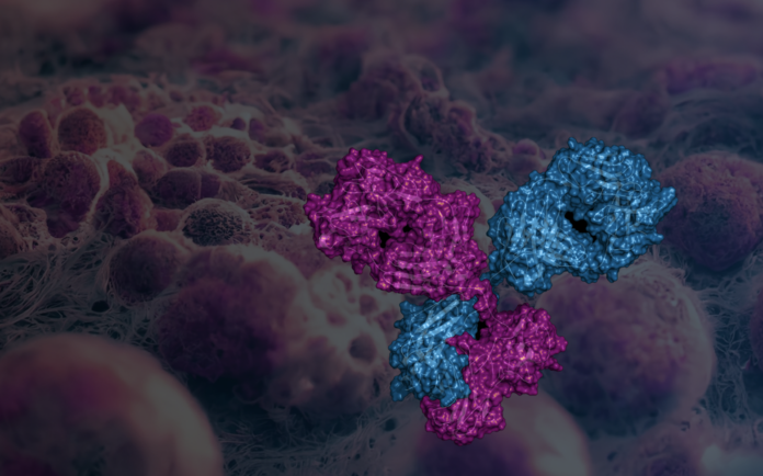 Promatix expands target space for ADCs with bispecific platform (c) Promatix