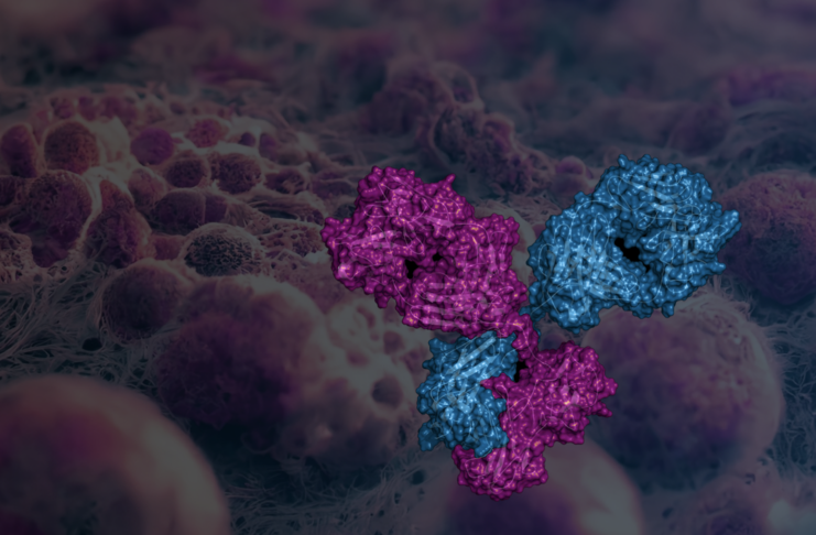 Promatix expands target space for ADCs with bispecific platform (c) Promatix