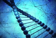 BSM Biotech Holding Launches Operations to Build Next Generation of Breakthrough Biotech Companies (c) vectorfusionart - stock.adobe.com