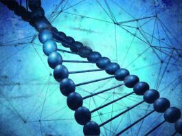 BSM Biotech Holding Launches Operations to Build Next Generation of Breakthrough Biotech Companies (c) vectorfusionart - stock.adobe.com