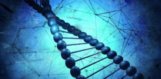 BSM Biotech Holding Launches Operations to Build Next Generation of Breakthrough Biotech Companies (c) vectorfusionart - stock.adobe.com