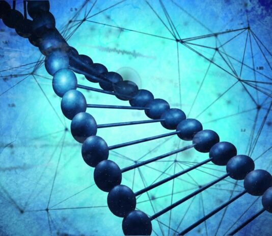 BSM Biotech Holding Launches Operations to Build Next Generation of Breakthrough Biotech Companies (c) vectorfusionart - stock.adobe.com