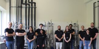 Das Team von Primogene (c) Primogene