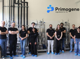 Das Team von Primogene