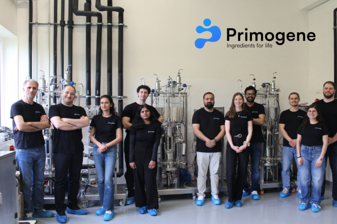 Das Team von Primogene