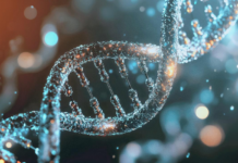 bio:cap 2026 | 9.–11. Juni 2026 | CityCube Berlin