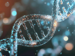 bio:cap 2026 | 9.–11. Juni 2026 | CityCube Berlin