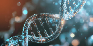 bio:cap 2026 | 9.–11. Juni 2026 | CityCube Berlin