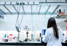 Capital for scientists: navigating the German funding maze strategically Foto von ThisisEngineering auf Unsplash