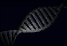 Mehr als 200 Branchengrößen unterzeichnen offenen Brief der European Life Sciences Coalition Pexels