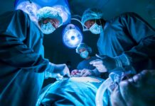 3,8 Mio. EUR für Allogenetics Allogenetics erhält 3,8 Mio EUR Venture Capital für ex-vivo-Gentherapieansatz (c) Akarawut - stock.adobe.com