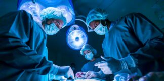 3,8 Mio. EUR für Allogenetics Allogenetics erhält 3,8 Mio EUR Venture Capital für ex-vivo-Gentherapieansatz (c) Akarawut - stock.adobe.com