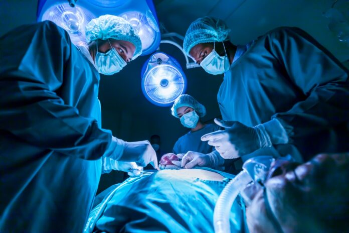 Allogenetics erhält 3,8 Mio EUR Venture Capital für ex-vivo-Gentherapieansatz (c) Akarawut - stock.adobe.com Allogenetics erhält 3,8 Mio EUR Venture Capital für ex-vivo-Gentherapieansatz (c) Akarawut - stock.adobe.com