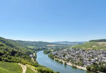 How Rhineland-Palatinate creates biotech growth How Rhineland-Palatinate creates biotech growth