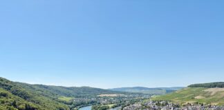 How Rhineland-Palatinate creates biotech growth How Rhineland-Palatinate creates biotech growth