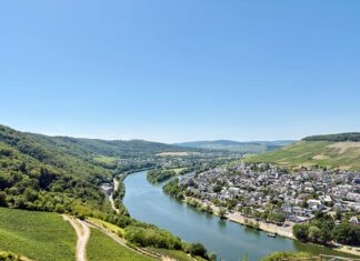 How Rhineland-Palatinate creates biotech growth